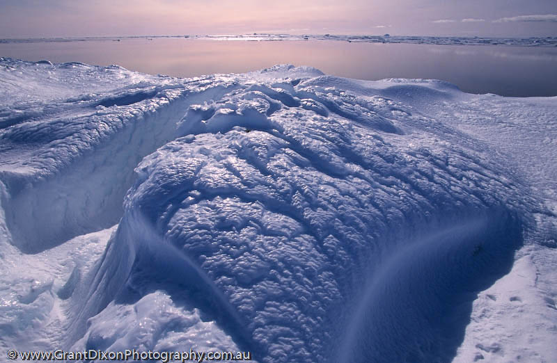 image of Coastal ice 1
