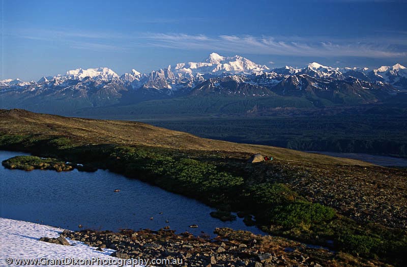 image of Kesugi Ridge Denali view