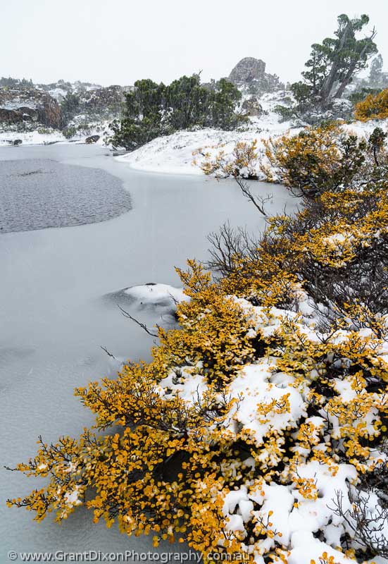 image of Tarn Shelf Fagus & snow