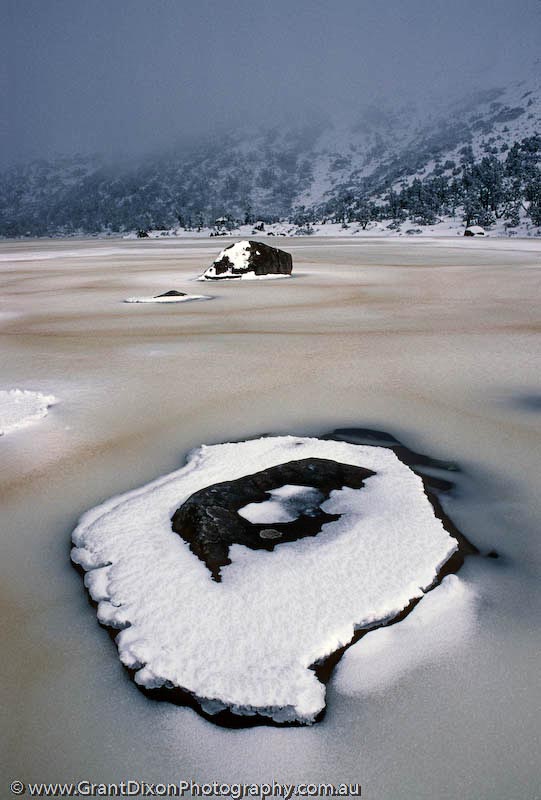 image of Newdegate winter 2