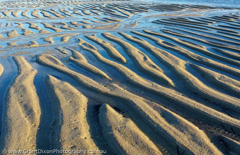 image of Flinders sand ripples