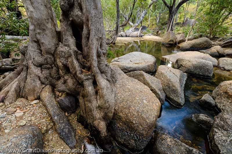 image of Granite creek & tree