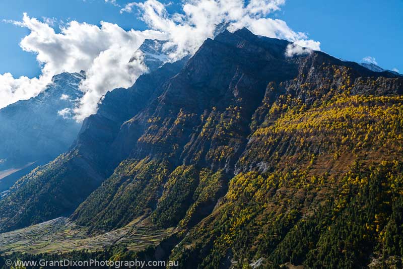 image of Himalaya Autumn