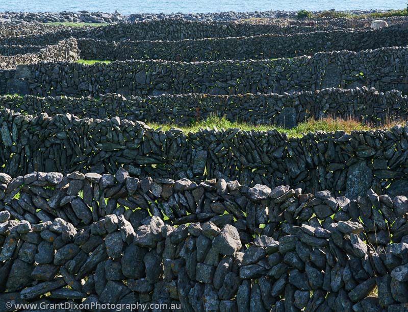 image of Inis Meain stone walls 5
