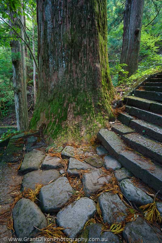 image of Takino-jinja stone steps