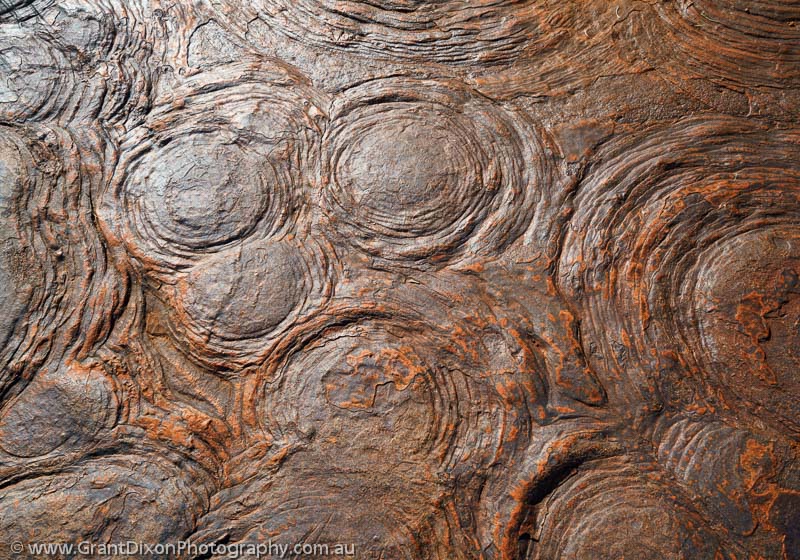image of Hamersley stromatolites