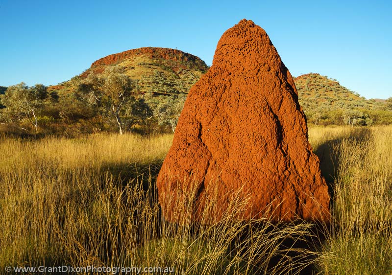 image of Hamersley termite mound