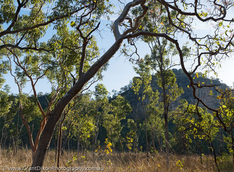 image of Kakadu woodland