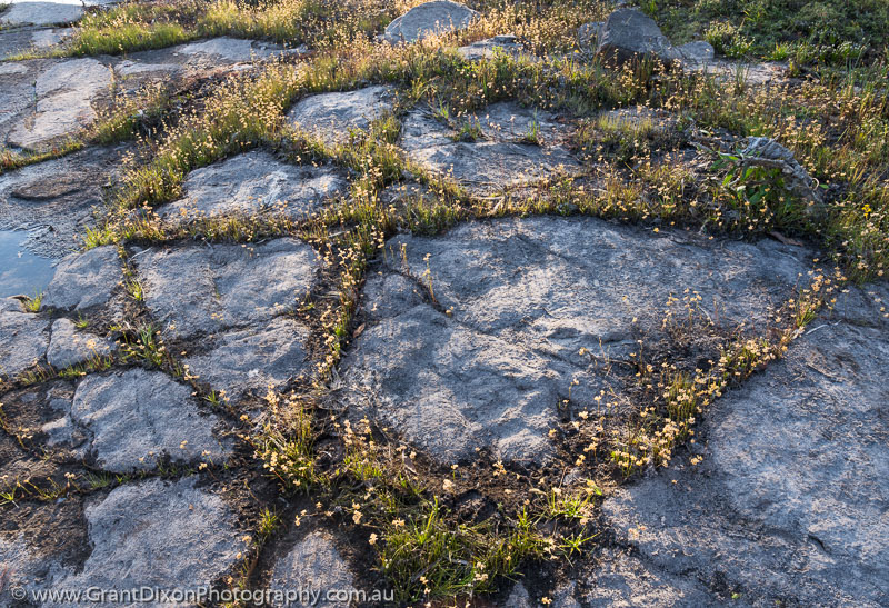 image of Kakadu rock garden