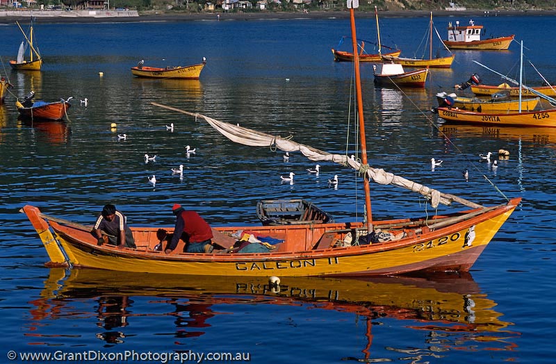 image of Valdivia boats
