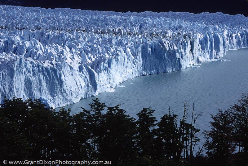 image of Moreno Glacier 1