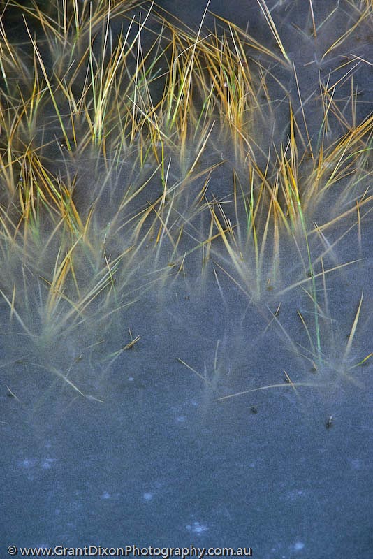image of Grass and ice