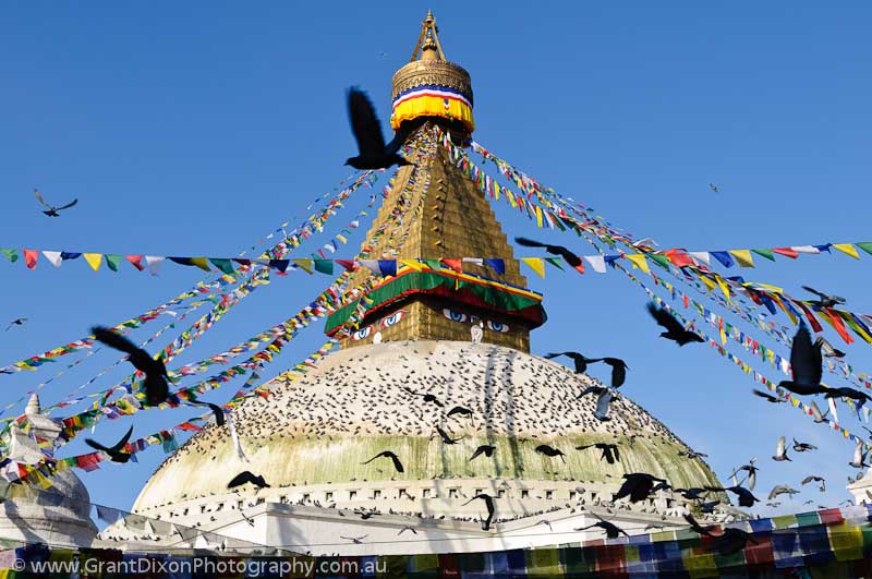 image of Bodhnath stupa & pigeons