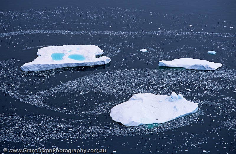 image of Penola ice floes