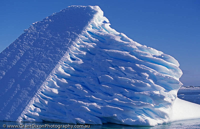 image of Iceberg flutes 2