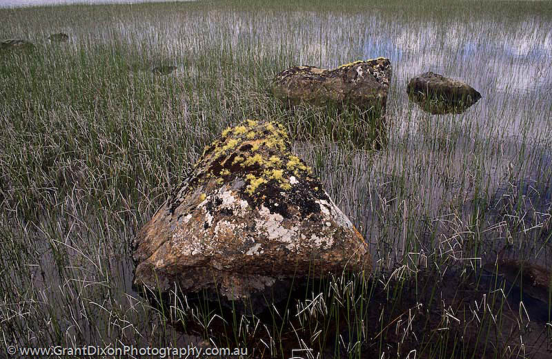 image of Dolerite and reeds 1