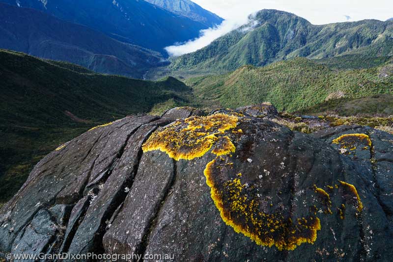 image of Star Mountains lichen & rock
