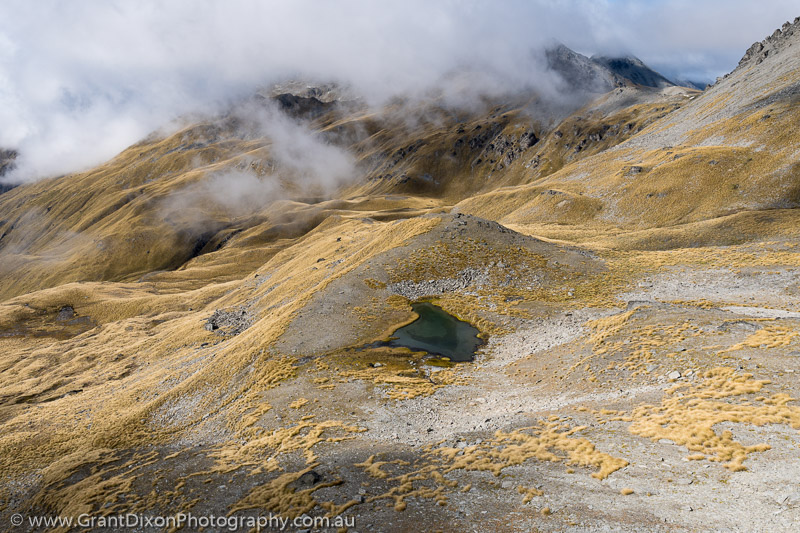 image of Remarkables tussockland 1