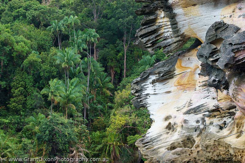 image of Bako cliff & rainforest