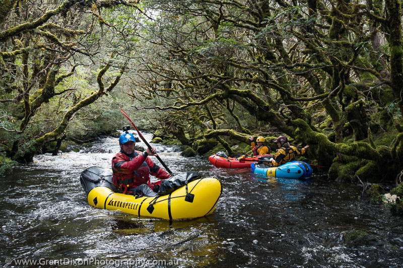 image of Moss forest paddling