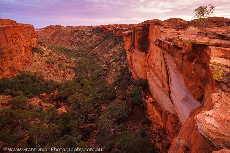 image of Kings Canyon cliffs dawn 1
