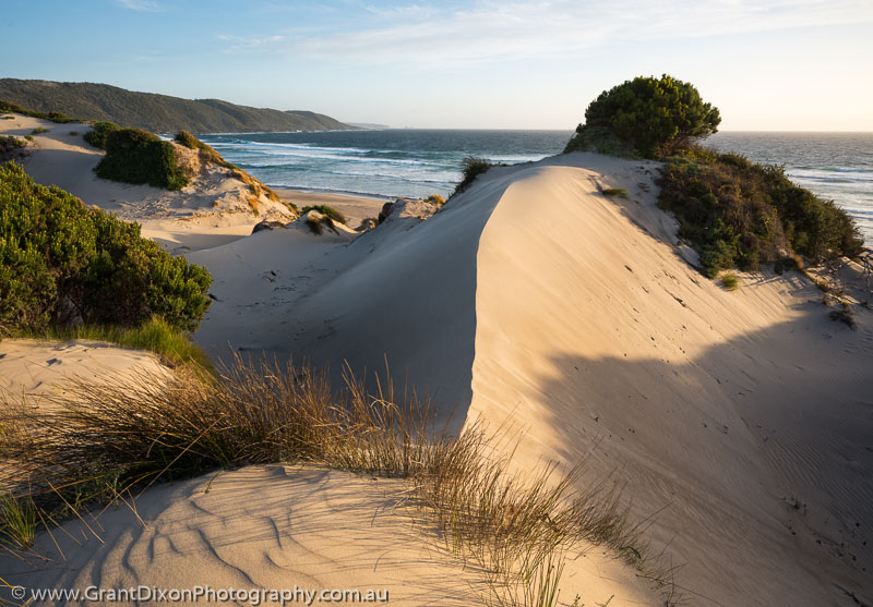 image of Endeavour Bay dunes 1
