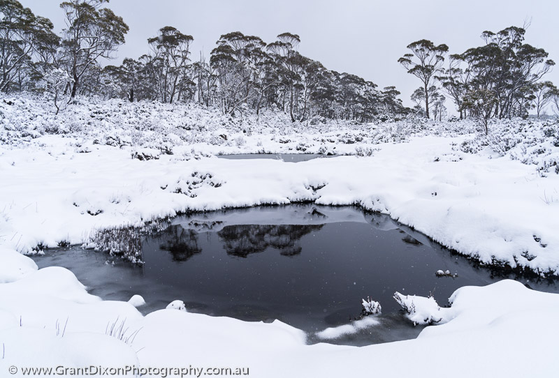 image of Walls winter pool 2