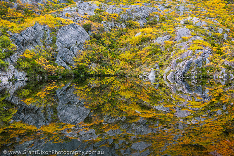 image of Fagus reflection