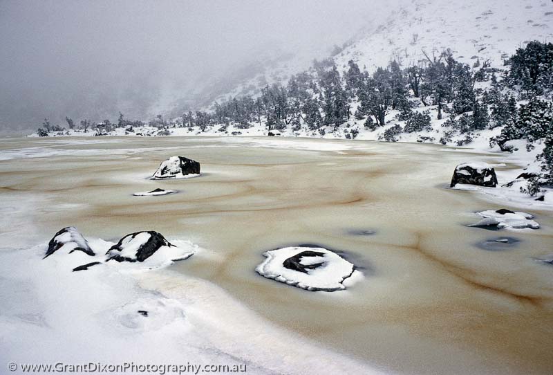 image of Newdegate winter 1