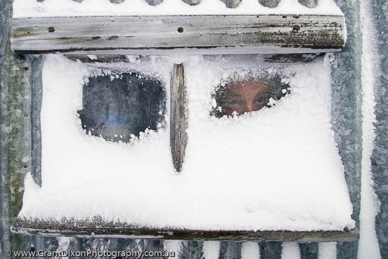 image of Snowy window