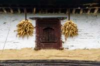 Traditional Gurung house, with drying corn, Annapurna Santuary Trek.