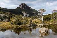 AUSTRALIA, Tasmania, Southwest National Park. Anne Range.