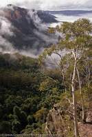 AUSTRALIA, NSW, Katoomba, Blue Mountains National Park. Jamison Valley, from Narrowneck, Greater Blue Mountains World Heritage Area.