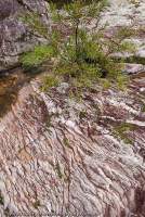 AUSTRALIA, NSW, Blue Mountains, Kanangra-Boyd National Park. Striated quartzite rock, Kowmung River, Greater Blue Mountains World Heritage Area.