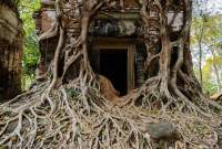 CAMBODIA, Siem Reap. Doorway at Prasat Bram temple, several brick towers enclosed by tree roots, part of 10th century Ankorian site at Koh Ker.