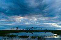 CAMBODIA, Siem Reap area. Evening storm cloud reflection in flooded rice field, after end of wet season.