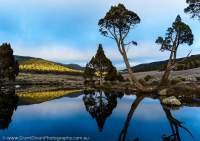 Cradle Mountain - Lake St Clair National Park, Tasmanian Wilderness World Heritage Area, Australia