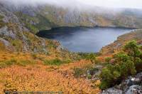AUSTRALIA, Tasmania, Cradle Mountain - Lake St Clair National Park. Endemic Deciduous Beech (Nothofagus gunnii) in autumn, Crater Lake (a glacial cirque), Overland Track.