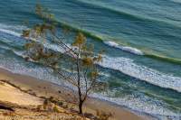 Carlo Sandblow, Rainbow Beach, Great Sandy National Park, Sunshine Coast, Queensland.