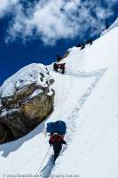 NEPAL, Mugu. Porters descending from Chyarga La pass (5150m) through fresh snow.