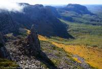 Autumn colours of Deciduous Beech (Nothofagus gunni), Du Cane Range, Cradle Mountain - Lk St Clair National Park, Tasmanian Wilderness World Heritage Area.