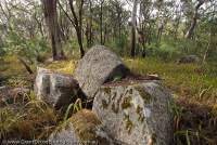 AUSTRALIA, Queensland, Far North. Granite boulders in woodland, Mt Windsor Tableland, Mt Windsor National Park.