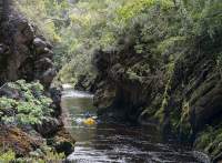 Franklin River, Tasmanian Wilderness World Heritage Area
