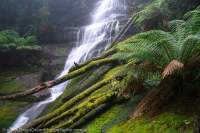 Bastian Cascades, Great Western Tiers, Tasmanian Wilderness World Heritage Area.