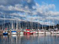 AUSTRALIA, Tasmania, Hobart, Bellerive. Yachts moored at marina, Mt Wellington beyond.