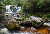 Halls Falls, Northeast Tasmania