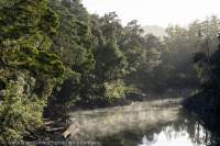 Dawn mist on Arthur River, Northwest Tasmania