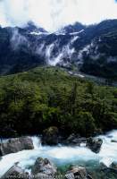 NEW ZEALAND, Fiordland, Darran Mtns. Upper Hollyford River cascades past a fan covered in Nothofagus forest.