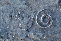 Fossils in Devonian limestone, Inis Meain, Aran Islands, County Galway, Ireland