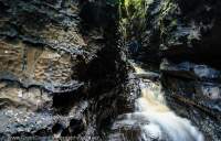 Limestone canyon, lower Franklin River, Franklin-Gordon Wild Rivers National Park, Tasmanian Wilderness World Heritage Area.